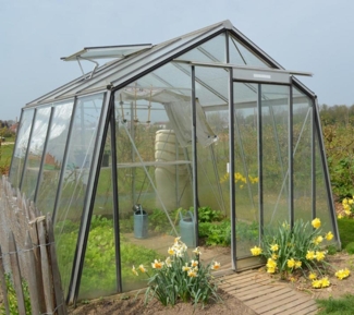 ACD Glas Gewächshaus S104H-B | Silber |