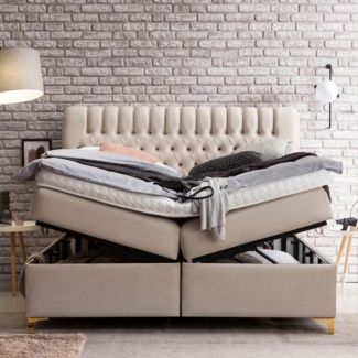 BettCo Stauraumbett Boxspringbett mit Bettkasten Chester (in Creme Velours, 200 x 200 cm), XXL Bettkasten, Gold-Optik Füße