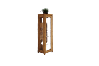 Vitrine Tinci aus Wildeiche massiv 55x45x180 mit 1 Glastür und Holzbeinen