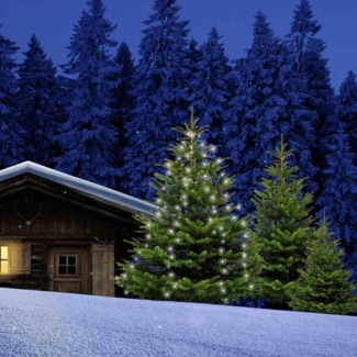 Baumvorhang 160 LED Lichterkette Baumschmuck Gartendeko Weihnachten Beleuchtung