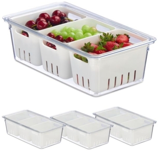 Kühlschrank Organizer 4er Set 10047921
