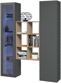 Wohnwand >Benevent< (3-teilig) in Anthrazit matt - 140x180x30 (BxHxT)