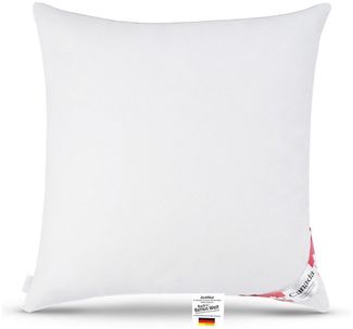 Canada Kopfkissen Daunenkissen Kopfkissen Quattro 80x80 cm, neue silberweiße canadische Daune und Federn Klasse 1