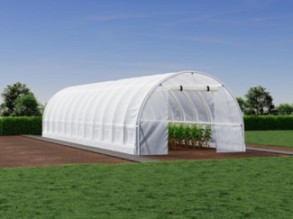 Vente-unique - Foliengewächshaus mit Stahlrahmen - 36 m² - 300 x 1200 x 200 cm - Weiß - IPOMEA