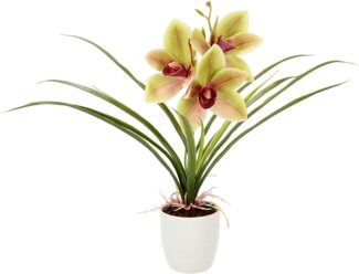 Kunstblume Orchidee, I.GE.A, Höhe 32 cm, Mit Blätter im Topf aus Keramik Künstliche Blume Cymbidium-Orchidee