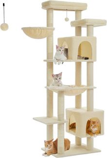 Purpurra Kratzbaum 7 Stocke mit großen Höhlen und Hängematte, 175 cm