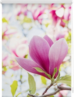 Lichtblick Motiv Rollo 150x120 cm (LxB) Magnolie