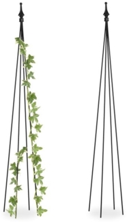 Schwarze Rankhilfe 2er Set