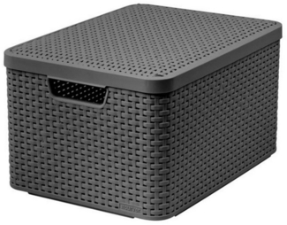 Curver Aufbewahrungsbox mit Deckel Style L 30L Metallic Silbern 443863