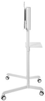 Neomounts BOS 37-70 1TFT Max. 70KG weiÃ