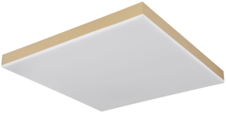 LED Deckenlampe, Fernbedienung, dimmbar, messing, L 45 cm