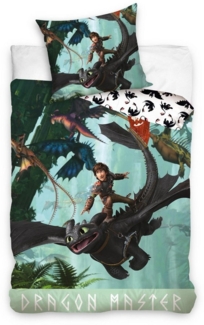 DreamWorks Bettwäsche Dragons Drachenzähmen leicht gemacht Kinderbettwäsche 140 x 200 cm