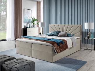 Boxspringbett Trifoli IV, Beige, 160 x 200 cm