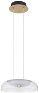 LED Hängeleuchte, messing, Glas satiniert klar, D 30 cm