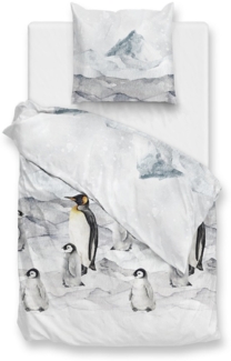Zo! Home Flanell Bettwäsche 135x200 Frostine Pinguine Eis Eisberg grau eisblau
