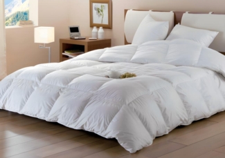 Sparset: Bettdecke 240 x 260 cm + 2 Kopfkissen 65 x 65 cm - Naturdaunen - DODO von BAFFIN