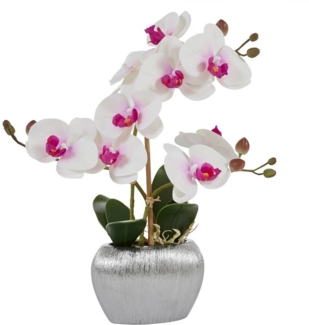 Kunstpflanze Orchidee, Home affaire, Höhe 38 cm, Kunstorchidee, im Topf