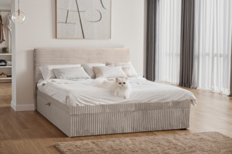 Kaiser Möbel Boxspringbett mit bettkasten und topper TRENTO, ohne Bein stoff Plüsch Cord, Matratze und Topper, Mehrere Größen, Viele Farben, Bettkasten