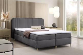 Boxspringbett Schlafzimmerbett ALIZE 180x200 cm Stoff Fresh Grafit