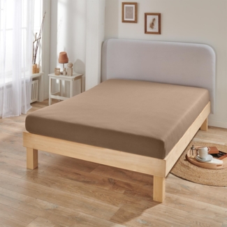 BettwarenShop Jersey-Elasthan Spannbettlaken Multi-Stretch|240x240 cm| taupe