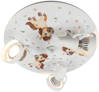 Strahler "Pony Paula"