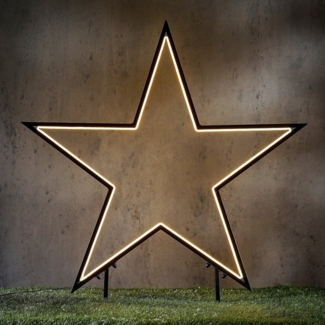 edelman LED Stern Garden d light Neon Gartenstecker schwarz, LED fest integriert