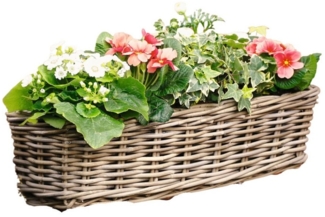 Home-trends24. de Balkonkasten Rattan Blumenkasten Blumenkästen Blumentopf mit Metallbügel 58 cm