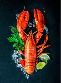 Egeria Geschirrtuch Küchentuch Digitalprint, (Packung, 2-tlg, 2 x 50 x70 cm), 2x 50x70 cm, MADE IN GREEN by OEKO-TEX®-zertifiziert