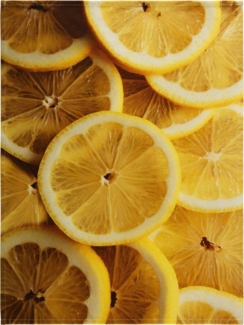 Erwin Müller Geschirrtuch Geschirrtuch im 2er-Pack, Baumwolle Motiv