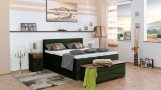 Meisterbetten Boxspringbett Dion 180x200 in VS-Grasgrün, Matratzenbezug Nano, Ergoflex-Topper