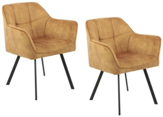 HTI-Living Armlehnstuhl Stuhl Benjamin 2 Stück Esszimmerstühle (Set, 2 St), Armlehnenstuhl Küchenstühle