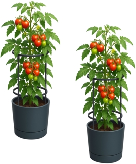2x Pflanzkübel Rankhilfe Anzuchttopf Tomatentopf Pflanz Blumen Topf Pflanzgefäß