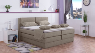 Meisterbetten Boxspringbett Dora 200x200 in W-Sahara, Matratzenbezug Nano, Komfortschaum-Topper