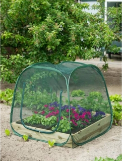 Nature Pop-up Gewächshaus 100 x 100 x 100 cm 6020409 403674