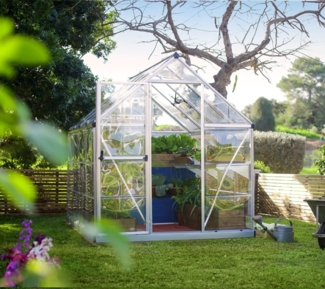 Palram - Canopia Aluminium Gewächshaus Harmony 68