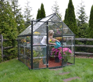 Palram - Canopia Aluminium Gewächshaus Harmony 68