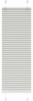 vidaXL Plissee Hellgrau 50x100 cm Stoffbreite 49,4 cm Polyester 4015320