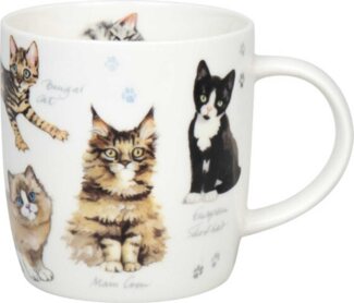 KÖNITZ 1172752866 Becher Natures Diversity - KATZEN 400 ml aus Bone China Porzellan / Artenvielfalt