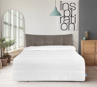 XDREAM Microfaserbettdecke Energiespar-Bettdecke in 135x200 und 155x220 cm, Füllung: 100% Mikrofaser, Bezug: Samtig weiche Microfaser, Wärmeklassen: 4-Jahreszeiten, Sommer, Ganzjahres -und Winterbettdecke