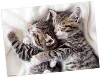 Tischsetmacher Platzset Tischset, Platzset abwaschbar - für Kinder - schmusende Kätzchen, (aus erstklassigem Vinyl (Kunststoff - BPA-frei), 1-St, 44 x 32 cm - rutschfeste Tischdekoration), Made in Germany