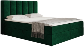 AX LIVING Boxspringbett Bonio I – 160 cm Breite, Schlafkomfort Grün