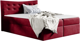 Boxspringbett Rember Ehebett, Rot, 200 x 200 cm