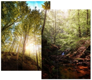 HTI-Living Paravent Paravent Wald (Stück, 1 St, 1 Paravent), Raumteiler Sichtschutz Trennwand