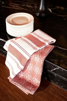 Egeria Geschirrtuch VIVA, (Set, 2-tlg), 2x 40x60 cm