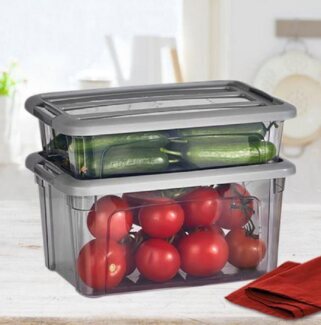 Vip Ahmet Frischhaltedose Organizer Behälter Vorratsbehälter Vorratsdosen Grau-Transparent 2,8L
