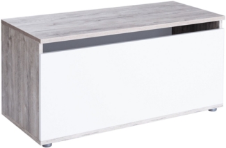 Home affaire Truhe Spielzeugkiste Rieke (1 St), 2 Gasdruckfedern zum Öffnen und Schließen, 1 großes Ablagefach