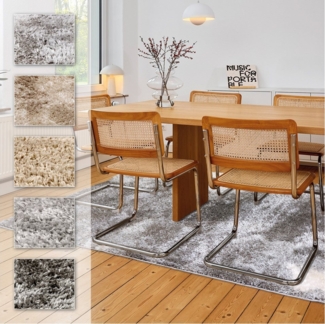 ASTRA Hochflor-Teppich Paulie 251, rechteckig, Höhe: 25 mm, Langflor, Shaggy, Wohnzimmer, Schlafzimmer
