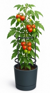 Pflanzkübel m. Rankhilfe Anzucht Tomatentopf Pflanz Kübel Blumentopf Pflanzgefäß