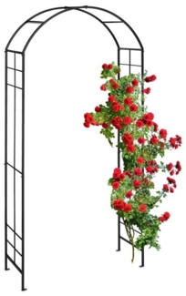 Schwarzer Rosenbogen aus Metall