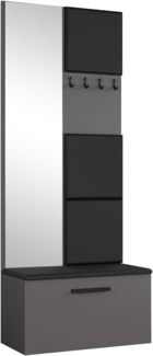AX LIVING Kleiderschrank mit Spiegel Rosanno III - 80,6 cm Grau JS100